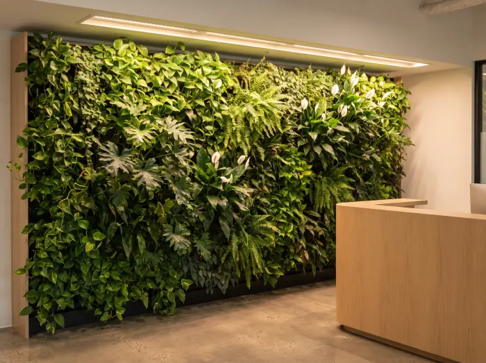 Mur végétal intérieur planté de pothos, fougères et spathiphyllums dans un hall d'accueil d'entreprise